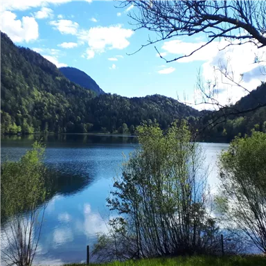 Ein ruhiger, klarer See umgeben von grünen Bergen und Bäumen. Der Himmel ist blau mit einigen Wolken.