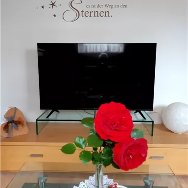 Ein modernes Wohnzimmer mit einem Fernseher auf einem Glastisch. Eine Vase mit roten Rosen und eine dekorative Tischdecke in Weiß schmücken den Tisch.