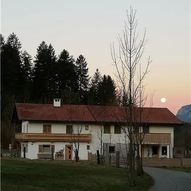 Ein ländliches Haus umgeben von Bäumen und sanften Hügeln. Der Mond ist am Himmel sichtbar, während die Sonne untergeht.
