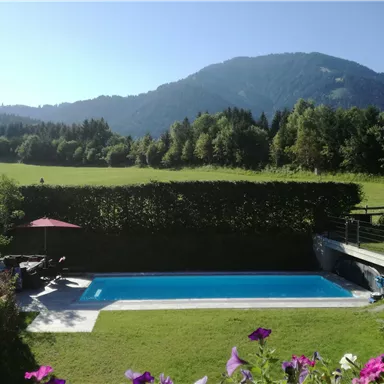 A beautiful swimming pool surrounded by green meadows and trees. In the background, gentle hills and a clear blue sky are visible.