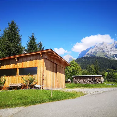 A cozy wooden cabin surrounded by greenery and mountains. The sky is clear and blue.