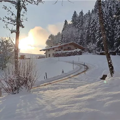A snowy landscape scene with a house in the background. The sun is rising behind the trees and illuminating the path.