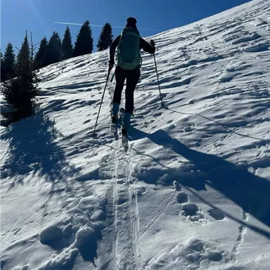 Skitouren gehen, einfach Traumhaft. Im Hintergrund sind Kiefern und ein klarer blauer Himmel zu sehen.