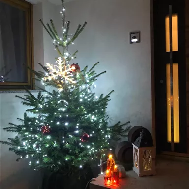 A decorated Christmas tree with lights stands in the entrance area. Next to the tree are decorative lanterns and candles.