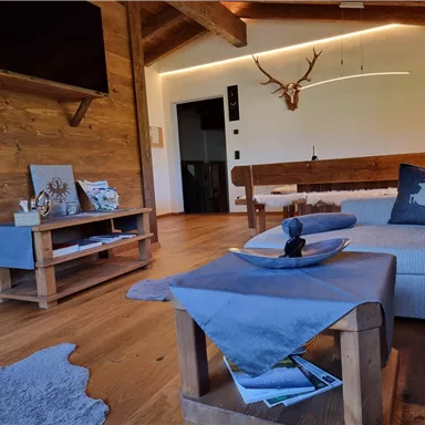 A cozy living room with wood paneling and a modern sofa. On the table lies a decorative platter, and the walls are adorned with deer antlers.
