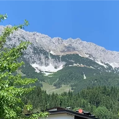 A majestic mountain under a clear blue sky. Green trees and a house frame the landscape.