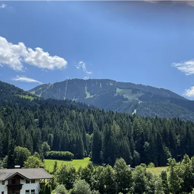 A picturesque mountain landscape with lush forests and a clear blue sky. In the foreground, some houses and meadows can be seen.
