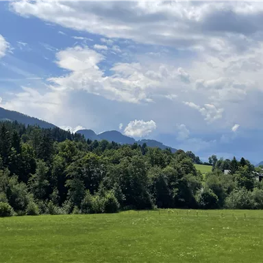 A green meadow surrounded by trees and gentle hills. The sky is partly cloudy with some blue patches.