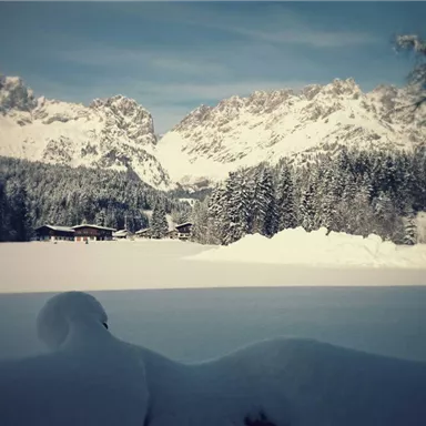 Eine verschneite Winterlandschaft mit hohen Bergen im Hintergrund. Im Vordergrund liegt eine ruhige, schneebedeckte Wiese.