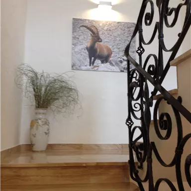 An inviting staircase with wooden steps and a decorative railing. On the wall hangs a picture of a mountain animal, and in the corner stands a vase with green decor.