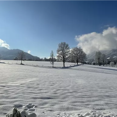 A snowy landscape with snow-covered fields and scattered trees. The sky is blue with some clouds, and the mountains are visible in the background.
