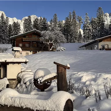 A snowy landscape with several wooden houses and tall, green fir trees. The sky is clear and blue.