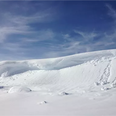 A wide, snow-covered landscape under a clear blue sky. Gentle hills of snow stretch to the horizon.