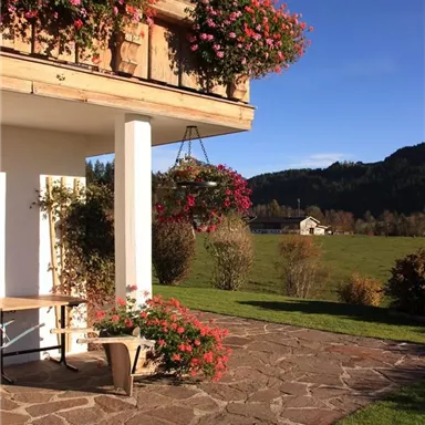 A beautiful entrance area with blooming plants and a stone terrace. In the background, gentle hills and a blue sky are visible.