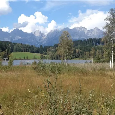 Eine malerische Landschaft mit einem ruhigen See und sanften Wäldern. Im Hintergrund erheben sich beeindruckende Berge unter einem klaren Himmel.