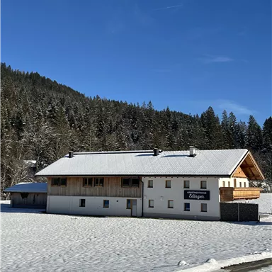 A cozy house in the snow, surrounded by a winter forest. The clear blue sky creates a lovely atmosphere.