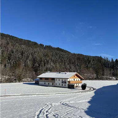 A snowy landscape featuring a cozy farmhouse. The clear blue sky and the wooded mountains in the background give the scene a tranquil atmosphere.