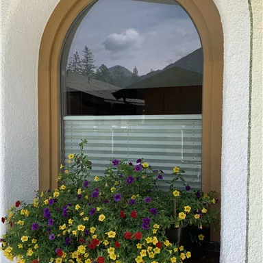 Ein bunter Blumenkasten mit gelben, lila und roten Blumen hängt vor einem Fenster. Im Hintergrund sind Berge und ein blauer Himmel sichtbar.