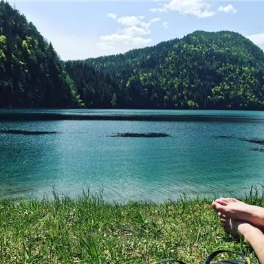 A quiet lake surrounded by green mountains and trees. The sun is shining and the water is clear and inviting.