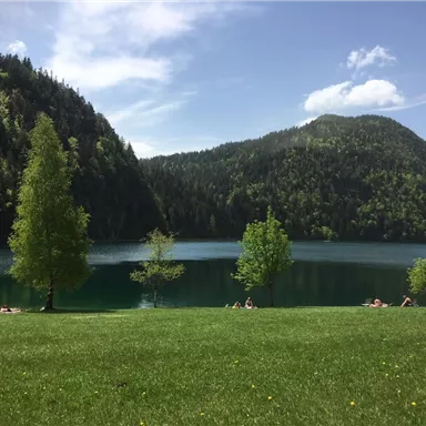 A peaceful lake surrounded by green hills and trees. People relax in the grass by the shore.