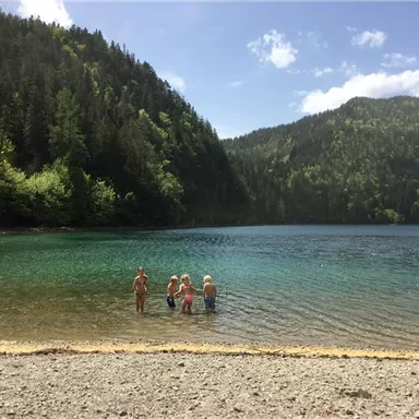 A clear lake surrounded by tall trees. Some people are standing at the shore and enjoying the water.
