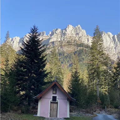 Eine kleine pinkfarbene Hütte steht am Rand eines Waldes mit hohen, grünen Tannen. Im Hintergrund sind majestätische Berge und ein blauer Himmel zu sehen.