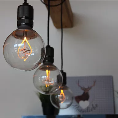 Three vintage light bulbs hang from a black suspension. In the background, a picture of a deer and some plants are visible.