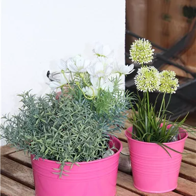 Two pink flower pots are on a wooden table. The left pot contains green plants, while the right pot has beautiful white and yellow flowers.