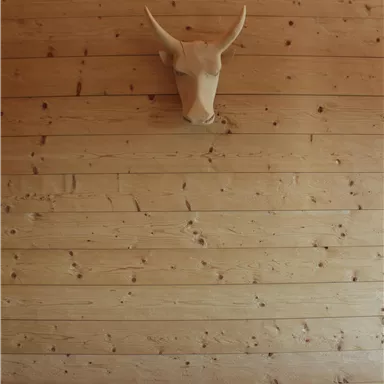 A rustic wooden wall with a decorative antler above it. The lighting at the bottom creates a cozy atmosphere.