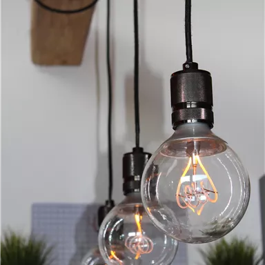 A series of hanging light bulbs with warm light. Small plants are visible in the background.