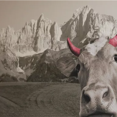 A cow with red horns stands in front of an impressive mountain landscape. The scene is done in black and white, highlighting the details of the cow and the mountains.