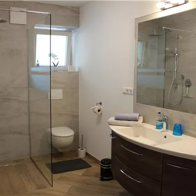 Ein modernes Badezimmer mit einer gläsernen Duschkabine und Holzfußboden. Es gibt einen eleganten Waschbeckenbereich mit einem großen Spiegel.