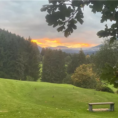 Eine friedliche Landschaft mit grünen Wiesen und hohen Bäumen. Der Sonnenuntergang färbt den Himmel in orange und rosa Tönen.