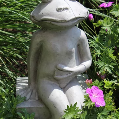 Eine Skulptur eines sitzenden Frosches aus Stein, die in einem Garten zwischen grünen Pflanzen und bunten Blüten platziert ist. Der Frosch hat eine entspannte Körperhaltung und einen freundlichen Ausdruck.