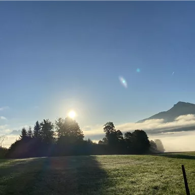 Ein sonniger Morgen über einem nebligen Tal. Im Hintergrund zeichnet sich ein Bergsilhouette ab.