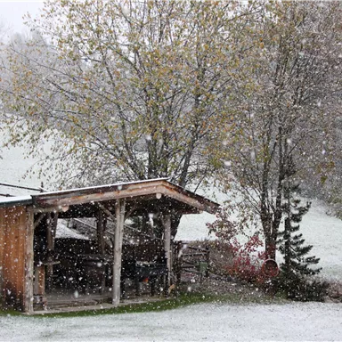 A small wooden gazebo stands in the snow, surrounded by snow-covered trees. It is lightly snowing and the landscape appears wintery and serene.