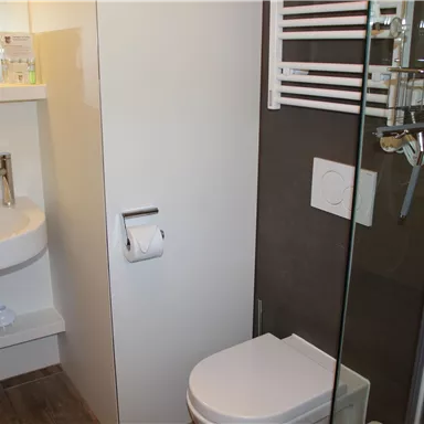 Ein modernes Badezimmer mit einer Dusche, einem Waschbecken und einer Toilette. Die Wände sind hell und sauber, und es gibt eine Handtuchhalterung.