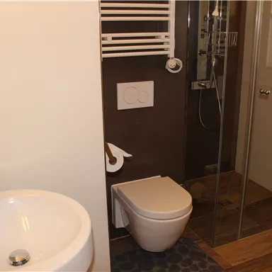 Ein modernes Badezimmer mit einer Dusche, einem WC und einem Waschbecken. Der Boden ist aus Holz und die Wände sind hell gestaltet.