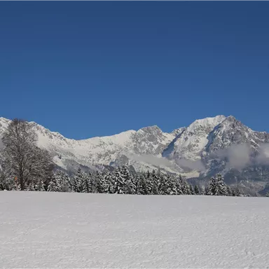 Eine klare Winterlandschaft mit schneebedeckten Bergen und einem blauen Himmel. Vereinzelt sind Bäume im Vordergrund zu sehen.