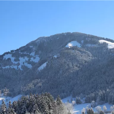 Ein schneebedeckter Berg unter einem klaren blauen Himmel. Die Landschaft ist ruhig und winterlich.