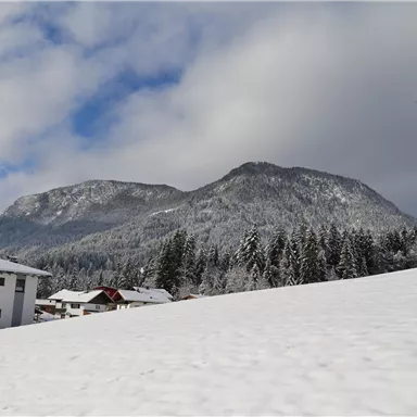 Eine verschneite Landschaft mit einem großen Berg im Hintergrund. Im Vordergrund steht ein Haus und es gibt Bäume, die mit Schnee bedeckt sind.