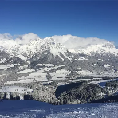 Eine beeindruckende winterliche Berglandschaft mit schneebedeckten Gipfeln und klar blauem Himmel. Die weitläufige Aussicht zeigt sanfte Hügel und Wälder, die mit Schnee bedeckt sind.