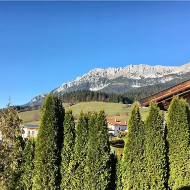 Ein schöner Blick auf die Berge mit klar blauem Himmel. Grüne Bäume rahmen die Landschaft ein.