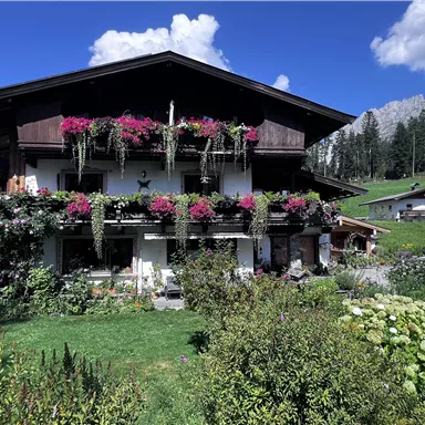 A beautiful wooden house with blooming balcony plants. In the background, green meadows and mountains are visible.