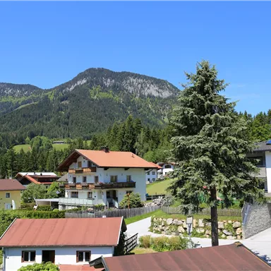 Eine malerische Landschaft mit traditionellen Häusern und hohen Bergen im Hintergrund. Der Himmel ist klar und blau, das Grün der Bäume und Wiesen ist prächtig.