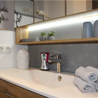 An elegant sink and fresh towels. In the background, decorative plants and stylish storage containers can be seen.