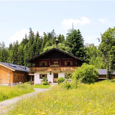 A beautiful house in the middle of a green meadow surrounded by trees. The sun is shining and the sky is clear.