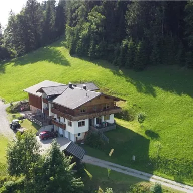 A cozy house on a green meadow, surrounded by trees and mountains. In the foreground, there is a space for sports activities.