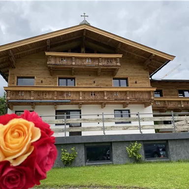 Ein modernes Holzhaus mit mehreren Balkonen und einem großen Rasen. Im Vordergrund befinden sich bunte Rosen, die das Bild schmücken.