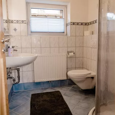 Ein kleines, helles Badezimmer mit einer Dusche, einem Waschbecken und einer Toilette. Der Boden ist blau gefliest und ein schwarzer Teppich liegt auf dem Boden.